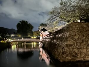 夜の松代城跡と石垣