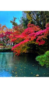 長野市南部の紅葉と水辺の風景