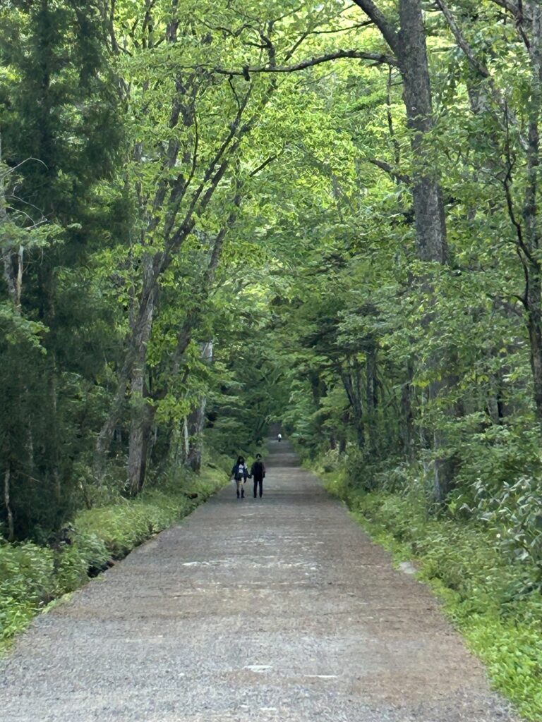 戸隠神社奥社へ続く参道
