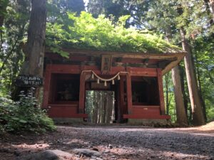 戸隠神社 奥社 完全ガイド｜神話と樹齢400年の杉並木が織りなす神秘の聖地　2026年初夏【前編